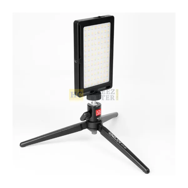 Small LED Light LR-11