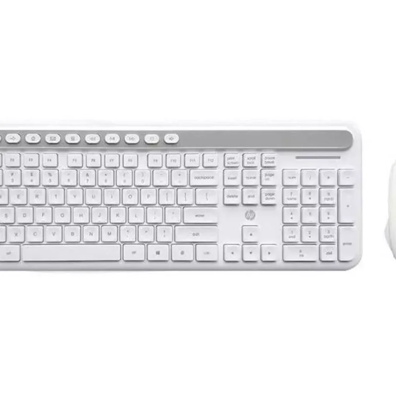 HP Cs500 Keyboard and Mouse