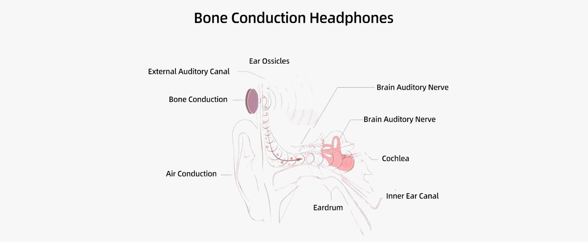 How Do Bone Conduction Headphones Work